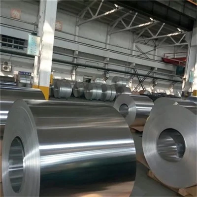 Contenedores de papel de aluminio para llevar